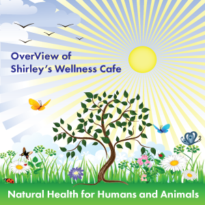 OverView of Shirley's Wellness Cafe