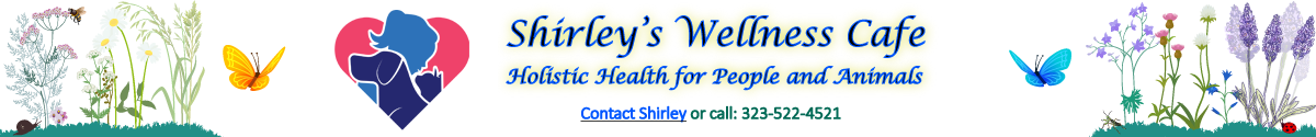 Shirley's Wellness Cafe