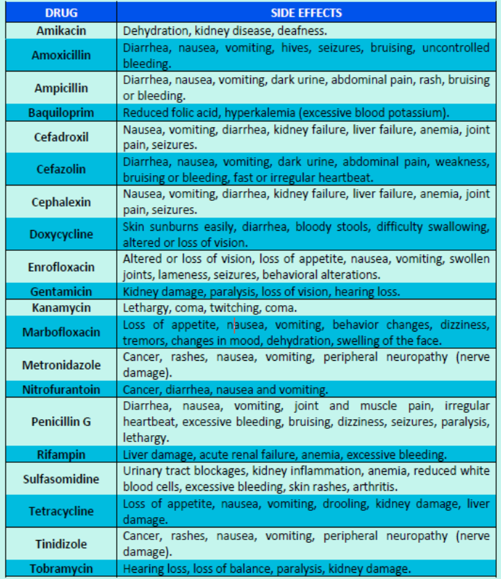 Cat Friendly Over The Counter Medications Chart