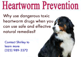 Natural Heartworm Prevention and Cure