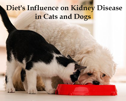 Dogs Kidney Failure Diet