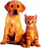 Dog and cat sitting together