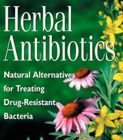 Herbal Antibiotics: Natural Alternatives for Treating Drug-Resistant Bacteria 