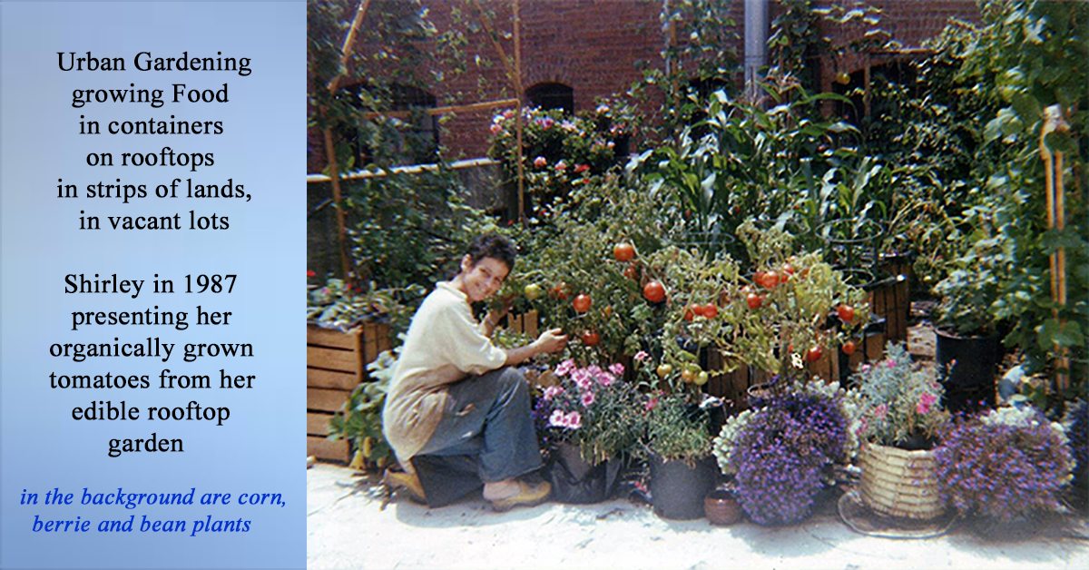 urban agriculture shirley s