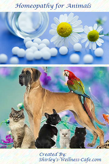 Homeopathic Care for Cats and Dogs