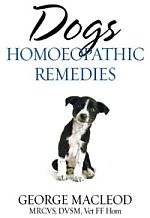 Discovering Homeopathy