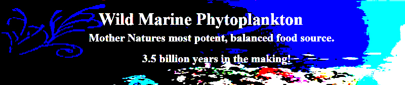 Wild Marine Phytoplankton
