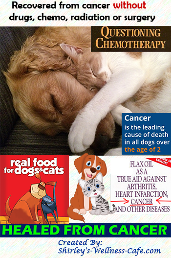 Questioning Chemotherapy, healing animal cancer naturally