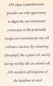 Aphanizomenon flos-aquae (AFA) Blue-green algae is the first protein and most ancient food on earth. At the bottom of the food chain, it is the most nutrient-rich food (ounce for ounce) known to be created by nature.