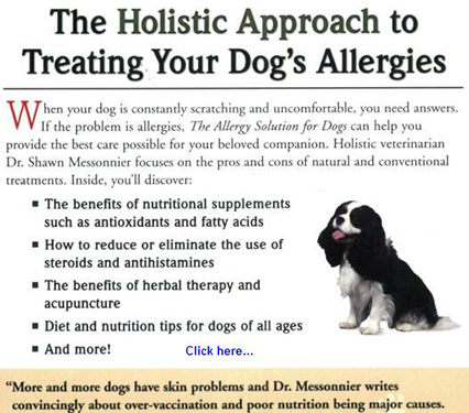 Allergies Home Remedies Related Keywords amp; Suggestions  Dog Allergies 