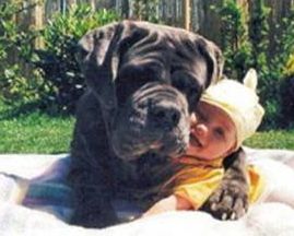 Dog and baby hugging