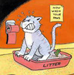 Cat sweating it out in a litter box
