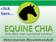equine chia