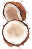 Coconut Oil: A Healthy Choice For Weight Reduction