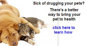 Sick of drugging your pets? There is a better way to bring your pet to health