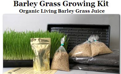 grass growing kit