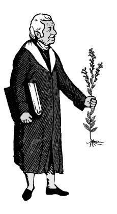 Dr. Christopher BLESSED THISTLE by David Card THE BENEFITS OF THE USE OF BLESSED THISTLE IN HERBAL PREPARATIONS