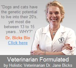 Dr. Jane Bicks, formulator of Life's Abundance premium pet food with wholesome ingredients