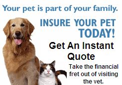 Pet Insurance