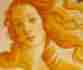 Holistic Health for Women