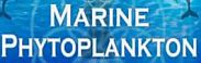 Marine Phytoplankton