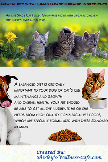 Cats and dogs wholesome nutritious pet food