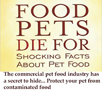 Contaminated pet food