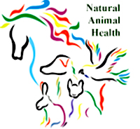 Healing sick and injured animals with natural home care