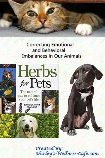 Herbal Remedies for Stressed Pets