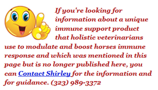 Contact Shirley