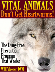 Heartworm Prevention