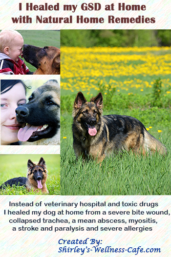 GSD healed at home with natural remedies