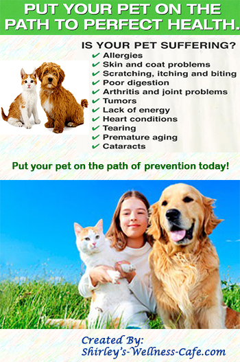 Are Vitamins and Minerals Necessary to Keep Dogs and Cats Healthy?