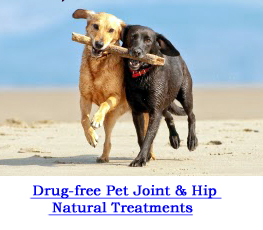 NuJoint Plus and Nuvet, Anti-inflammatory Hip and Joint Therapy
