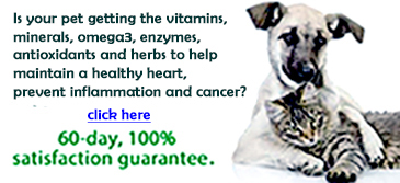 Natural Pet Vitamins