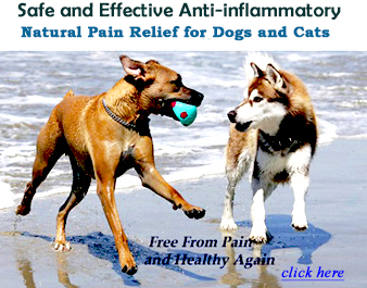 NuJoint Plus, Anti-inflammatory Hip and Joint nutritional Therapy