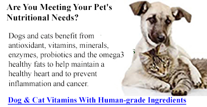 All natural vitamins for dogs and cats