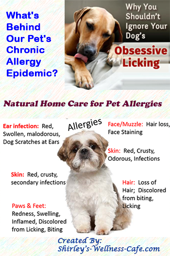  Natural Home Care for Pet Allergies