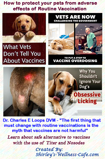 Adverse effects from Animal Routine Vaccination