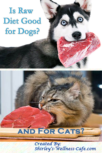 Is raw diet good for dogs and cats?