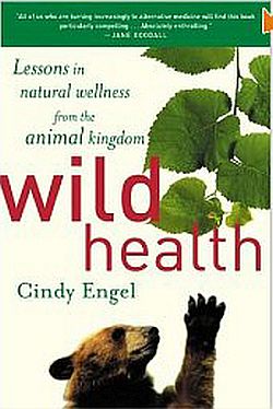 Wild Health