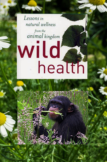 Wild Health Animals Innate Self-Medicating and Self-Healing Behavior