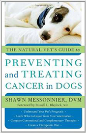 Preventing and Treating Cancer in Dogs and Cats