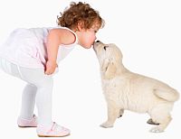 Toddler with puppy