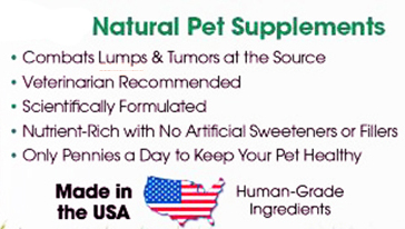 Natural Pet Supplements