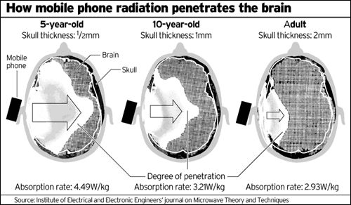 how mobile phone radiation penetrates the brain