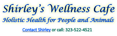 Shirley's Wellness Cafe