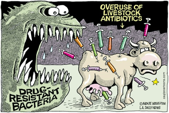Beyond antibiotics
