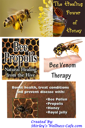 Healing Power of Bee Pollen, Honey, bee venom therapy