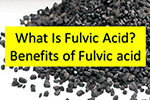 benefits of Fulvic Acid for optimum health